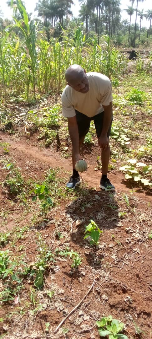 farmer Josh planting